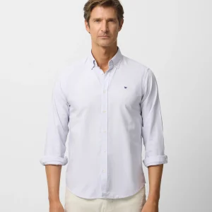 Camisa sport oxford gris
