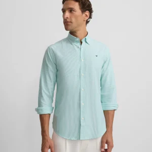 Camisa sport oxford rayas verde medio