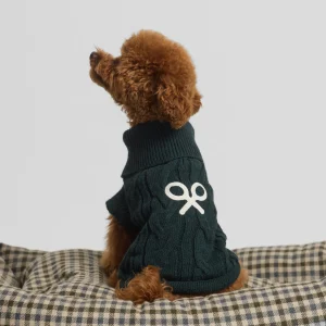 Jersey mascotas cuello vuelto verde