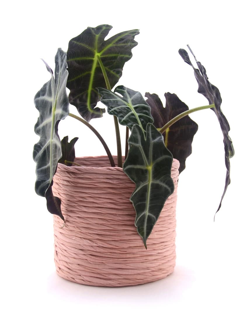 Cubre macetas de tela reciclada - Imagen 4