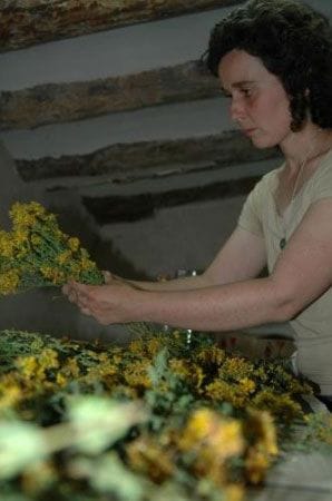 Crema antiinflamatoria y cicatrizante ecológica de hipérico - Imagen 4