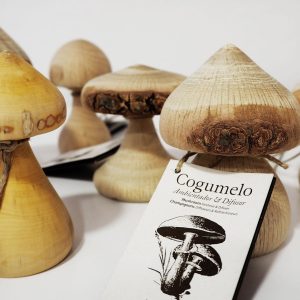 Difusor aceites esenciales: el ambientador ecológico «Cogumelo»