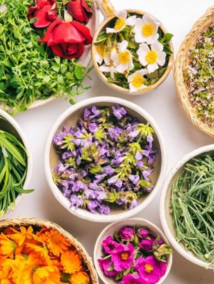 Crema reparadora de manos y uñas 100% BIO - Imagen 4