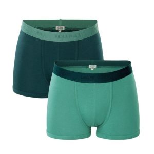 Pack de 2 bóxer verdes de algodón orgánico