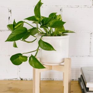 Soporte para macetas