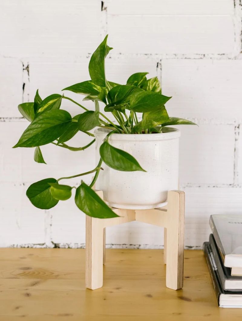 Soporte para macetas - Imagen 2