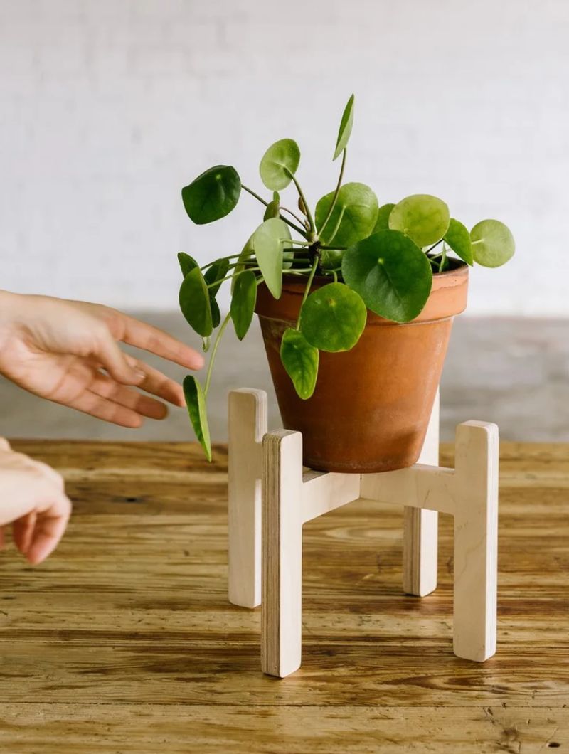 Soporte para macetas - Imagen 7