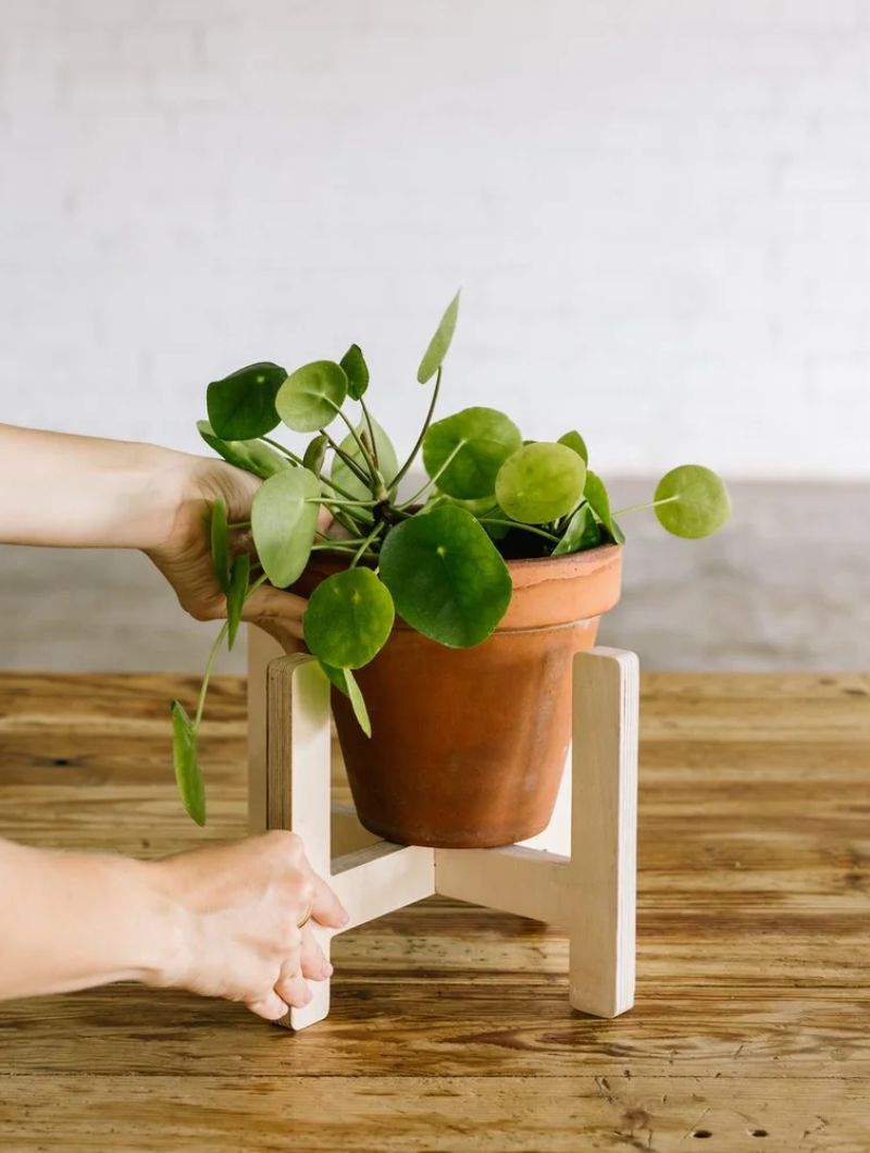 Soporte para macetas - Imagen 6